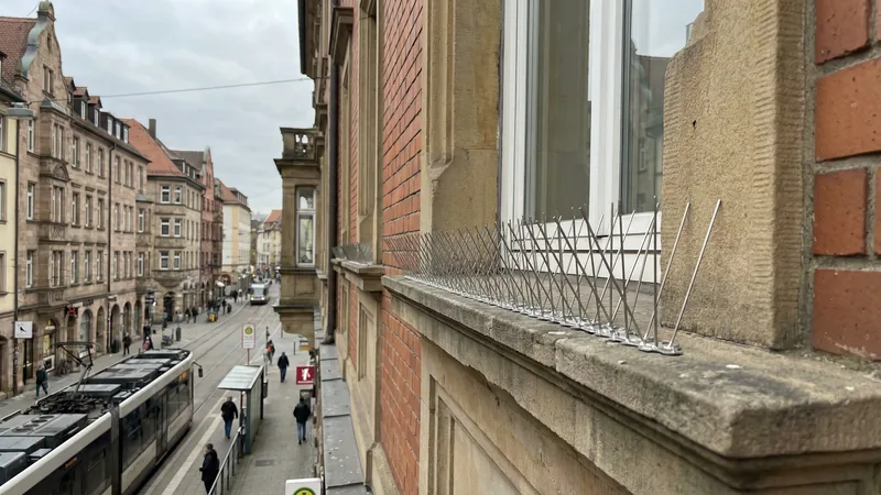 Taubenabwehr am Balkon: Effektive Methoden